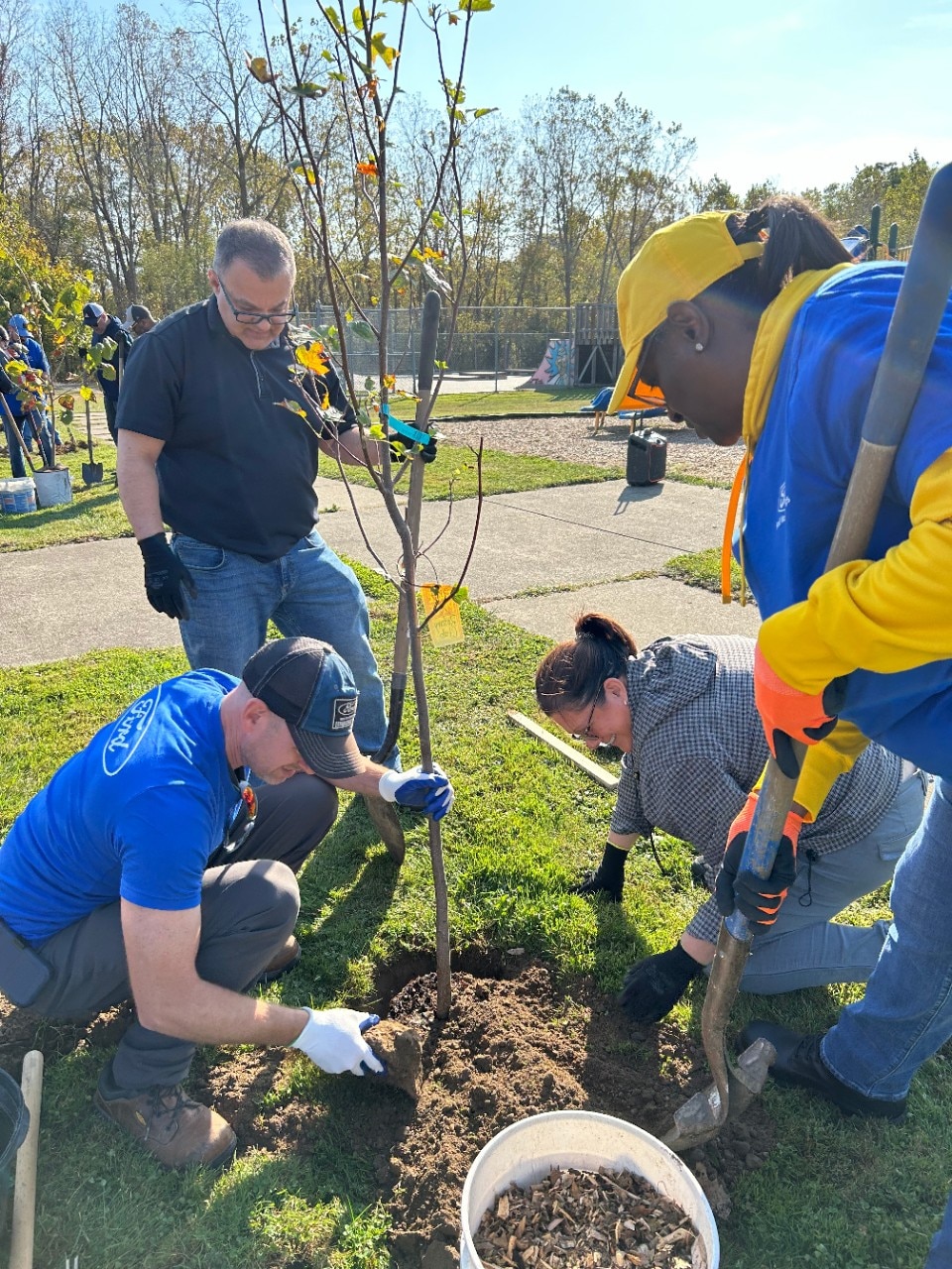 Ford team members planting a tree