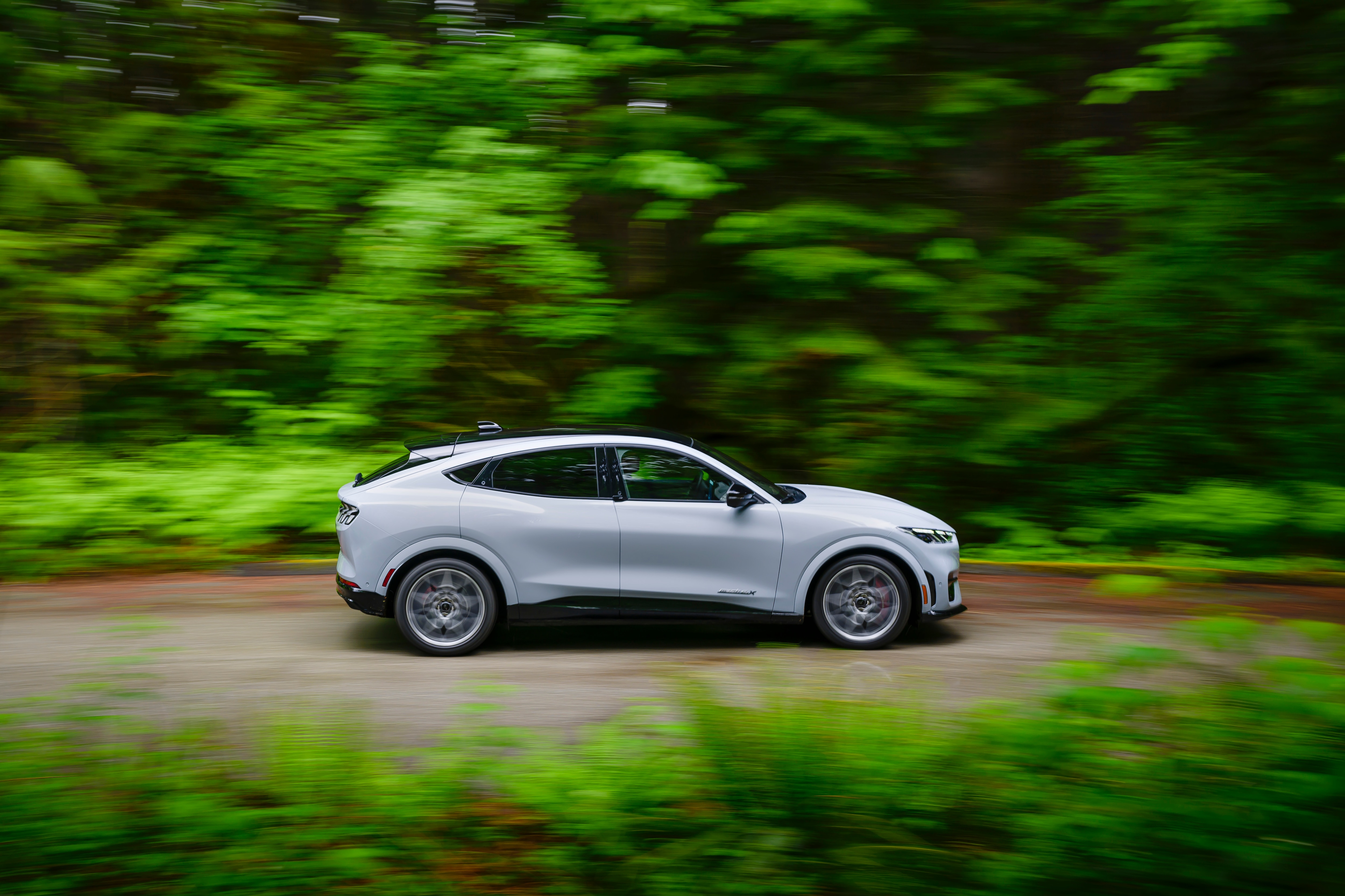 A Mustang Mach-E driving through a lush green forest, showcasing its sleek design against a natural backdrop.